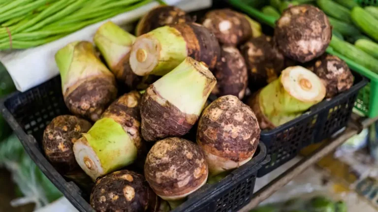 Benefits of eating taro (Brobbey) for your health